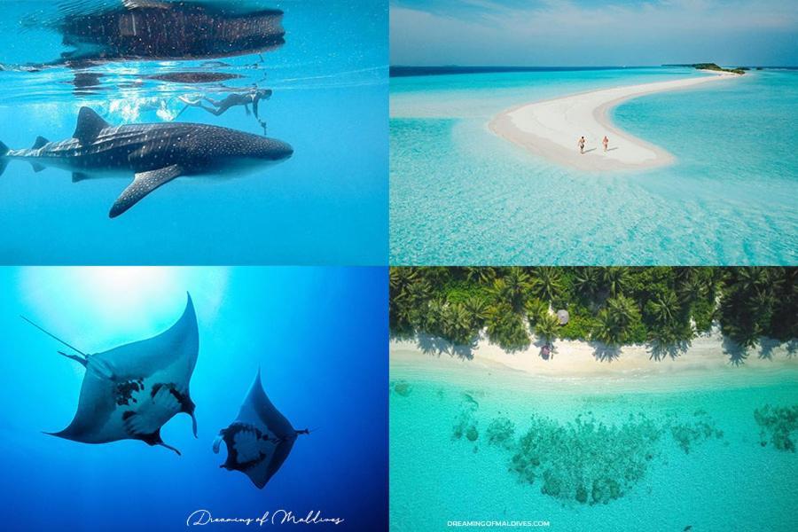 Bed and Breakfast Nikabliss Dhigurah Dhigurah  Exterior foto