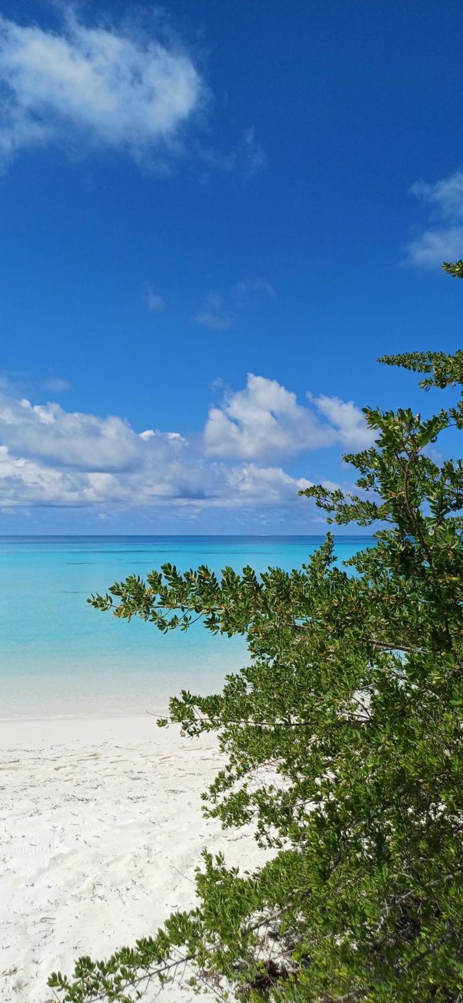 Bed and Breakfast Nikabliss Dhigurah Dhigurah  Exterior foto